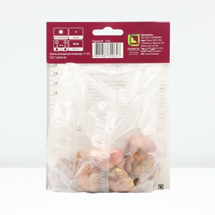 Гладиолус крупноцветковый «Багги», луковица цветов в пакете с перфорацией, р-р 10/12, 10 шт.