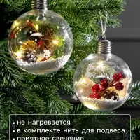 Набор ёлочных шаров &laquo;Ветка ели и ягоды&raquo;, 2 шт., d=10 см, 5 LED, от батареек, свечение тёплое белое