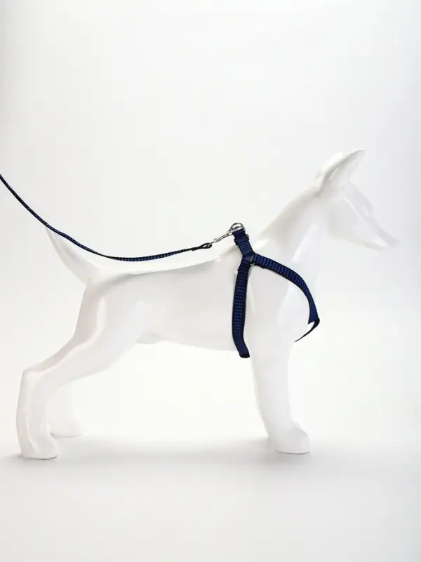 Шлейка с поводком, ОГ 36-49 см, ширина 1.5 см, поводок 120 см, рельефная, сине-чёрная