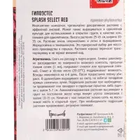 Семена цветов Гипоэстес Сплэш Селект Красный (Splash Select Red) (PanAmerican Seed) 4 шт.  12.29 г.