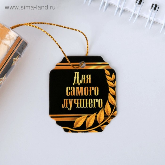 Ручка шариковая синяя паста в тубусе Ручка шариковая синяя паста в тубусе "Для самого лучшего", пластик