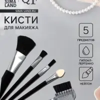 Набор кистей для макияжа, 5 предметов, чёрный