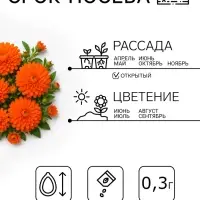 Семена цветов Календула &laquo;Радио&raquo;, 0.3 г, &laquo;Артикул&raquo;