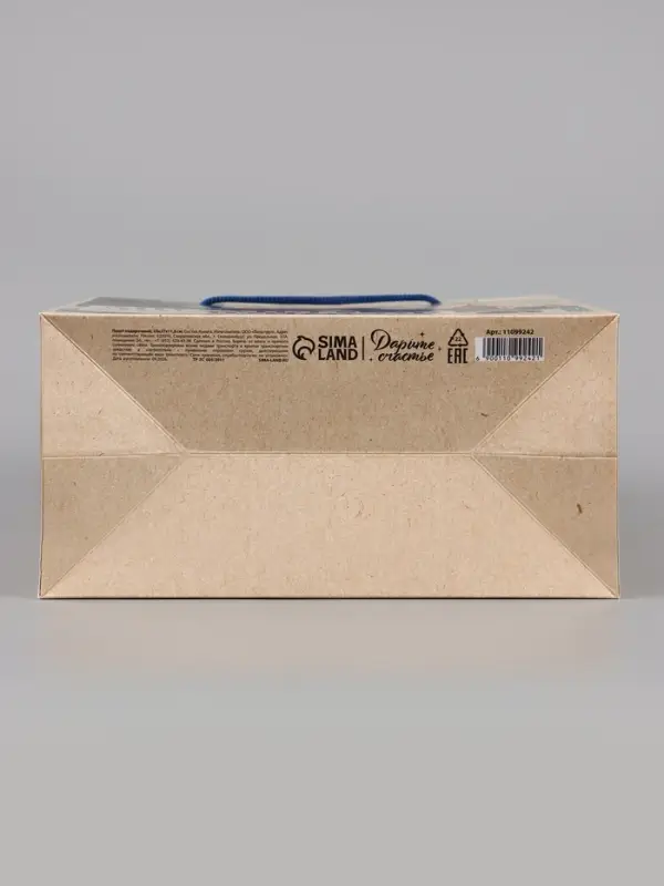 Пакет подарочный &laquo;Ломоносов&raquo;, 23&times;27&times;11.5 см