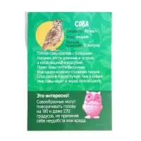 Растущие животные в яйце &laquo;Сова&raquo; МИКС