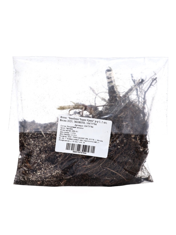 Флокс "Бамбини Черри Краш" р-р I, 2 шт, Весна 2025, ЭКОНОМ,