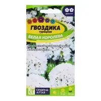 Семена Гвоздика "Белая Королева", ц/п,  0,2 гр.