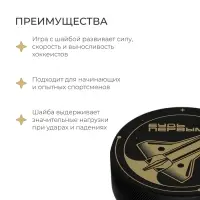 Шайба хоккейная Winter Star, детская, d=6 см