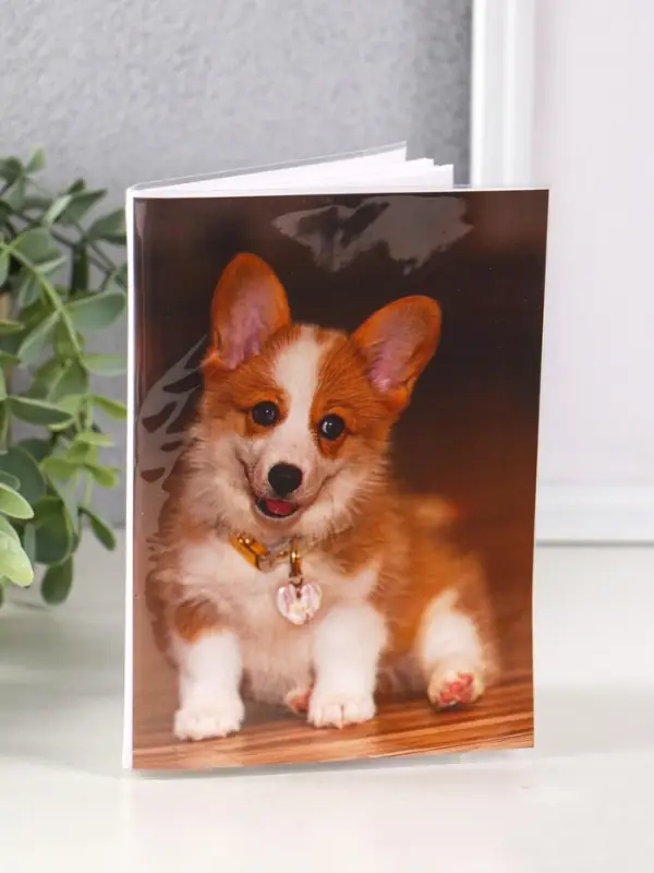 Фотоальбом 36 фото 10X15см, "Корги" ПП карм.,мягкая обложка