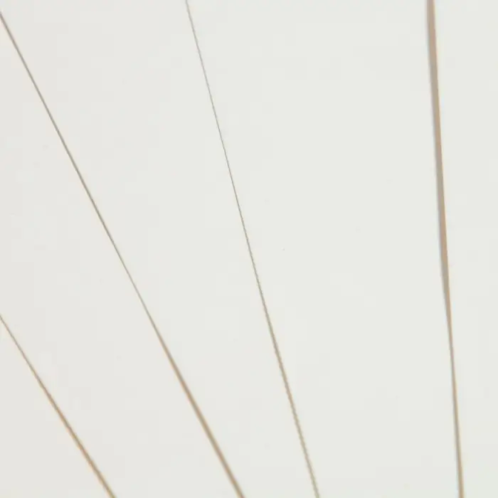 Картон белый А4, 8 листов Картон белый А4, 8 листов "Собачка с мороженым", мелованный, целлюлозный, 230 г/м2