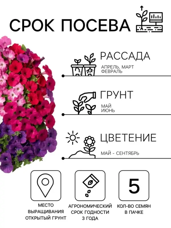 Семена цветов Петуния &laquo;Нуволари&raquo;, полуампельная, смесь сортов, F1, 5 шт., Farao, &laquo;АЭЛИТА&raquo;