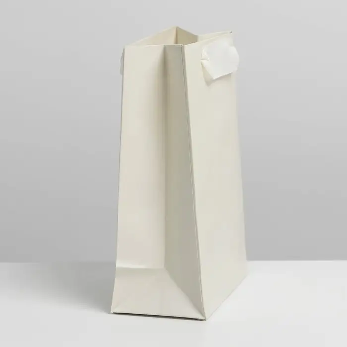 Пакет подарочный ламинированный, упаковка, «Молочный», S 12 х 15 х 5.5 см Пакет подарочный ламинированный, упаковка, «Молочный», S 12 х 15 х 5.5 см