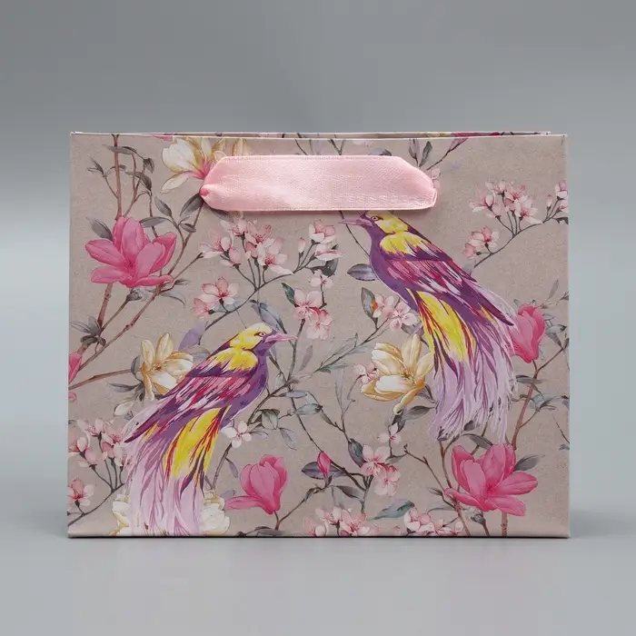 Пакет подарочный крафтовый, упаковка, «Птицы», S 15 х 12 х 5.5 см Пакет подарочный крафтовый, упаковка, «Птицы», S 15 х 12 х 5.5 см