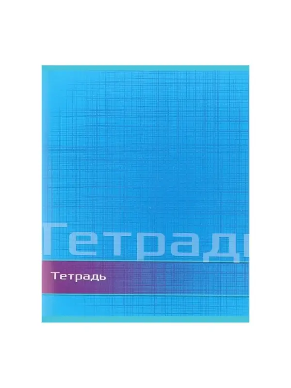 Тетрадь 48 листов в линейку Calligrata «Цвет и графика», обложка мелованная бумага, блок №2, белизна 75% (серые листы), МИКС