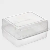 Контейнер для хранения яиц Доляна, 20 ячеек, 27.5&times;22&times;7 см, пластик, прозрачный, голубой