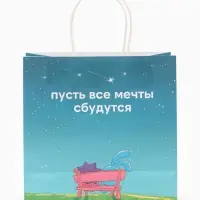 Пакет подарочный &laquo;Мечты сбываются&raquo;, Смешарики, 22&times;22&times;11 см