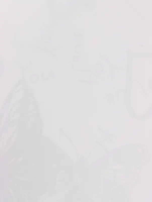 Плёнка флористическая для цветов &laquo;Бабочки и сердца&raquo;, белый с чёрным, 57&times;57 см