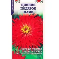 Семена Цинния Подарок маме /Сотка/ 0,2г/ красн. h-90см, d-12см/*1000 Семена Цинния Подарок маме /Сотка/ 0,2г/ красн. h-90см, d-12см/*1000