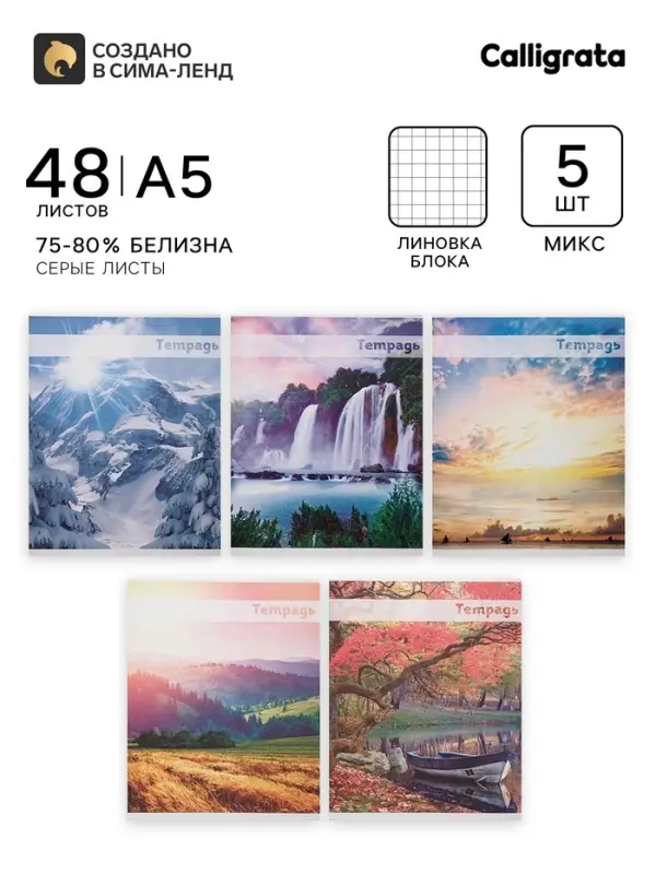 Тетради 5 штук (4 разные + 1 повторяющаяся), 48 листов в клетку &laquo;Красоты природы&raquo;, серые листы, обложка мелованная, блок №2