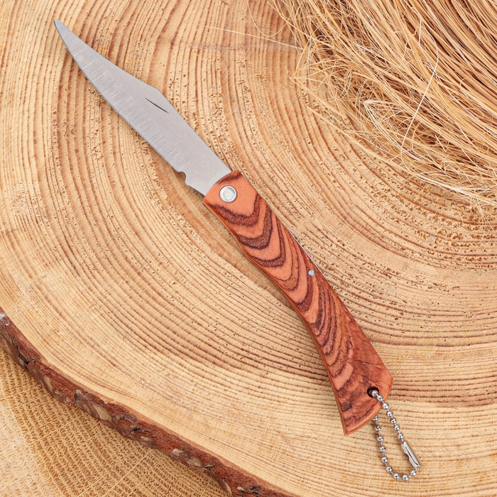 Нож складной Нож складной "Геркулер" 17,2см, клинок 79мм/1мм