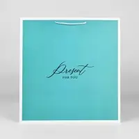 Пакет для цветов &laquo;Подарок&raquo;, 42&times;44&times;32 см