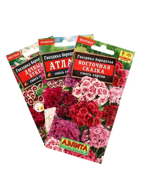 Набор Семена цветов Гвоздика турецкая многолетняя (238758319) ВБ