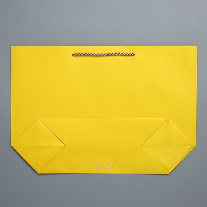 Пакет подарочный, упаковка, «For you», 26 х 25 х 11 см Пакет подарочный, упаковка, «For you», 26 х 25 х 11 см