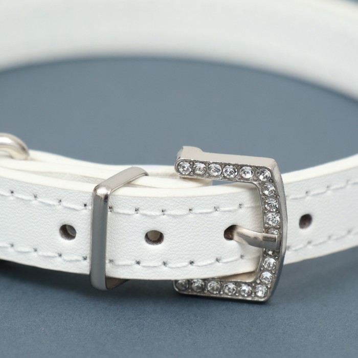 Ошейник со стразами в 4 ряда и стразы на пряжке, 38 х 1,5 см, ОШ 26-33, белый Ошейник со стразами в 4 ряда и стразы на пряжке, 38 х 1,5 см, ОШ 26-33, белый
