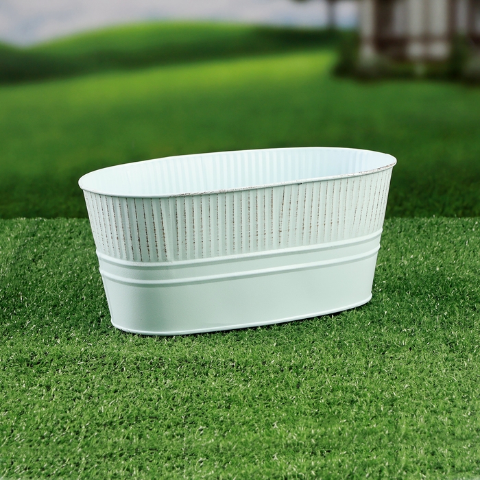 Кашпо - бонсай  Кашпо - бонсай "Мона" 23х12х11см