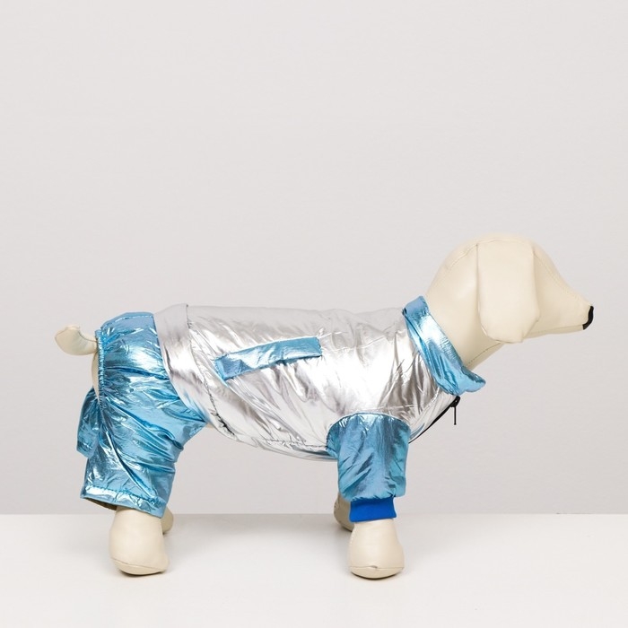 Комбинезон Комбинезон "Блеск", размер 14 (ДС 32 см, ОГ 42 см, ОШ 31 см), серебряно-голубой