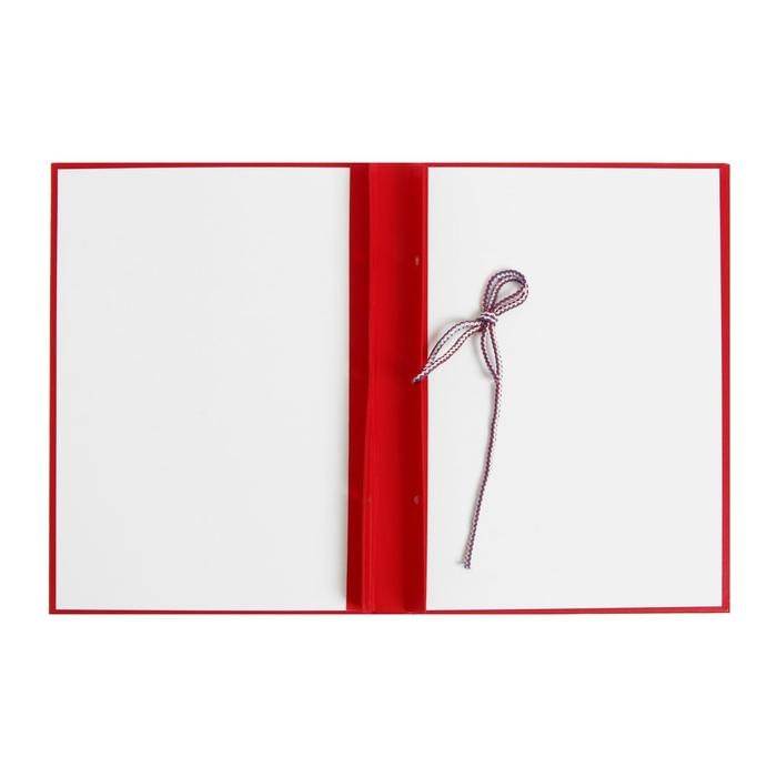 Папка Папка "Дипломная работа" А4, бумвинил, гребешки/сутаж, без бумаги, цвет красный (вместимость до 300 листов)