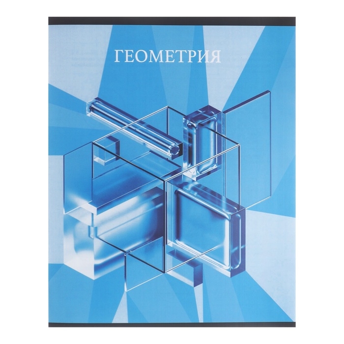 Комплект предметных тетрадей Calligrata TOP Комплект предметных тетрадей Calligrata TOP "Школьный стиль", 48 листов, 10 предметов, со справочным материалом, пластиковая обложка, блок офсет