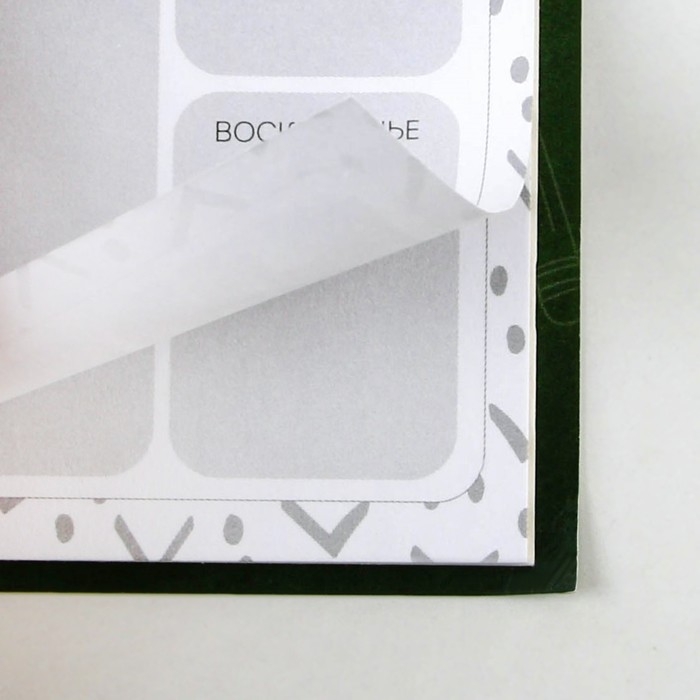 Планер с отрывными листами &laquo;Школа&raquo;, мягкая обложка, 50 листов