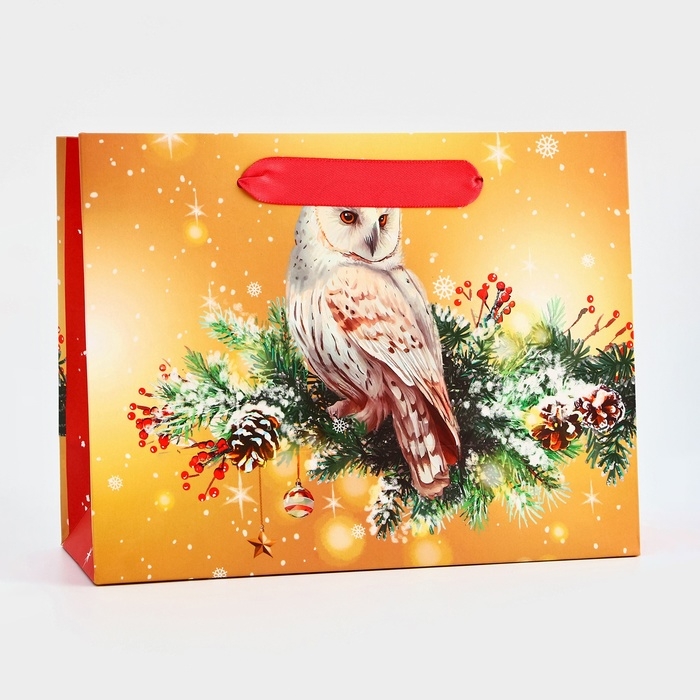 Пакет подарочный новогодний ламинированный Пакет подарочный новогодний ламинированный "Совушка", 23 х 17,8 х 9,8 см.