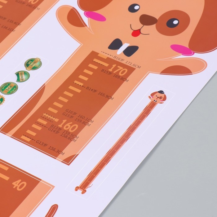 Наклейка пластик интерьерная цветная ростомер  Наклейка пластик интерьерная цветная ростомер "Собачка в шляпке" 45x60 см