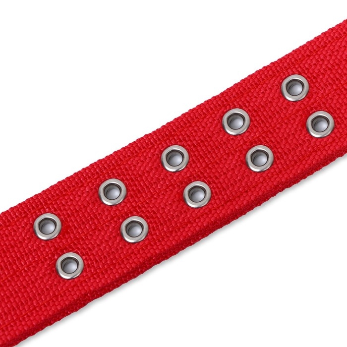 Ошейник четырехслойный с вертлюгом, 80 х 4,9 см, ОШ 64-74 см, полиэстер, красный Ошейник четырехслойный с вертлюгом, 80 х 4,9 см, ОШ 64-74 см, полиэстер, красный