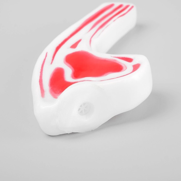 Игрушка пищащая Игрушка пищащая "Мясо на косточке" для собак, 13 см, микс цветов