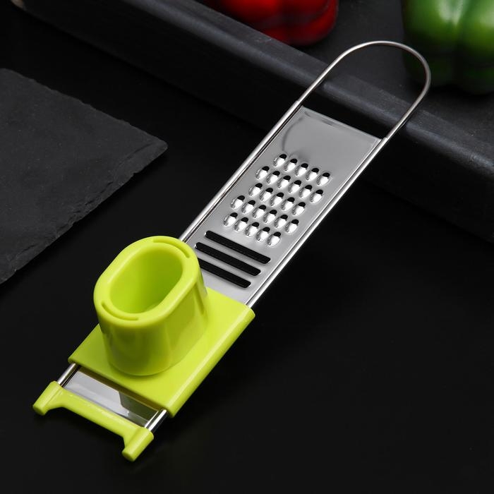 Тёрка для чеснока с держателем Доляна «Гауди», 22×4,5 см, цвет МИКС Тёрка для чеснока с держателем Доляна «Гауди», 22×4,5 см, цвет МИКС