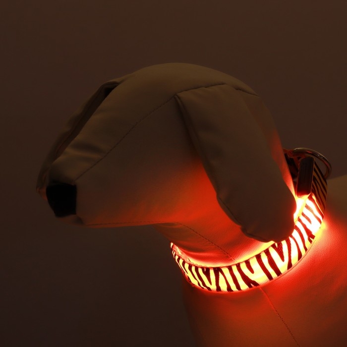 Ошейник с подсветкой Тигр 3 режима свечения размер S, ОШ 22-40 х 2,5 см оранжевый Ошейник с подсветкой Тигр 3 режима свечения размер S, ОШ 22-40 х 2,5 см оранжевый