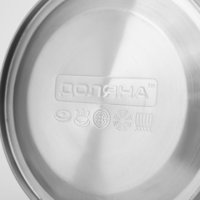 Чайник со свистком из нержавеющей стали Доляна «Чёрная ночь», 2 л, индукция, цвет хромированный