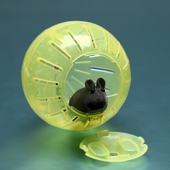 Шар для грызунов 10 см, жёлтый Шар для грызунов 10 см, жёлтый