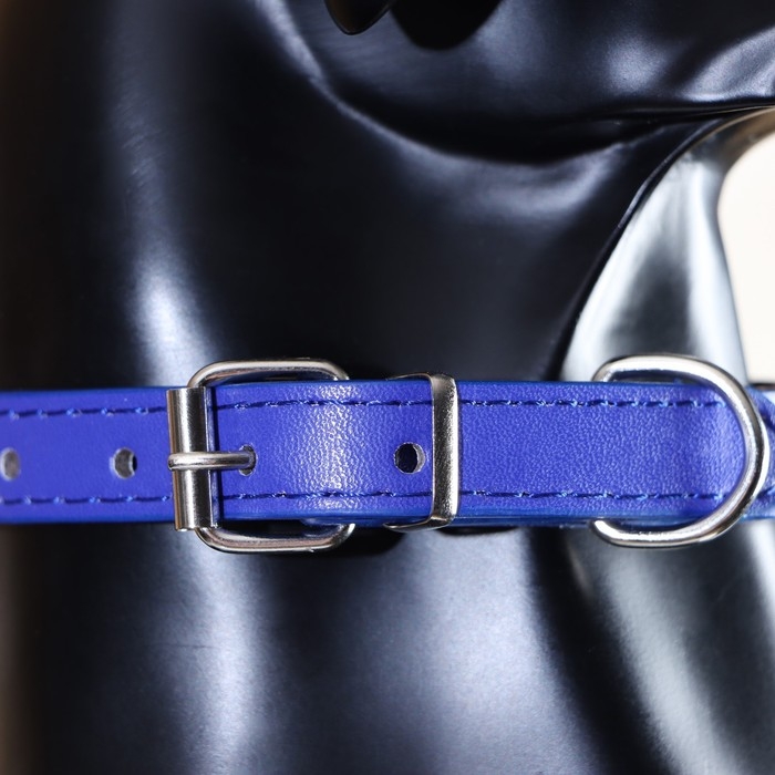 Ошейник Ошейник "Корона" с металлическим декором и со стразами, 36 х 1,4 см, ОШ 24-31, синий