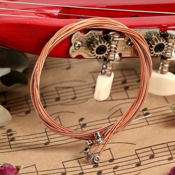 Струны для акустической гитары Music Life 6 шт, медная оплетка Струны для акустической гитары Music Life 6 шт, медная оплетка