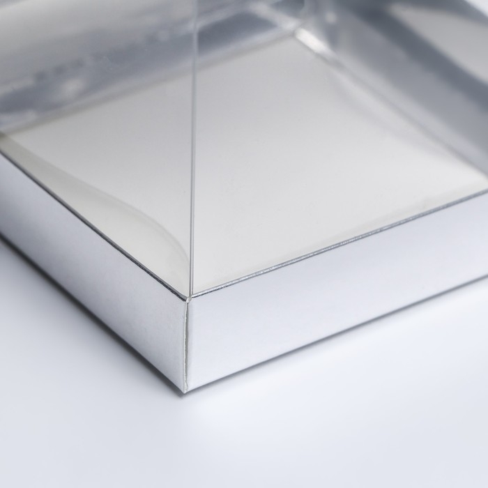 Коробка с PVC Мини 10 X 10 X 12 см Коробка с PVC Мини 10 X 10 X 12 см "Серебро"