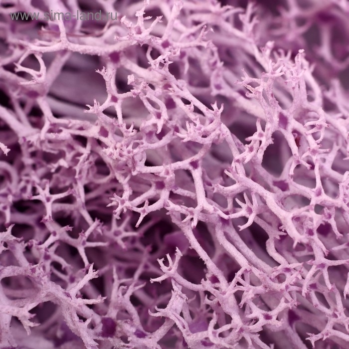 Мох искусственный "Сиреневый" 10 гр