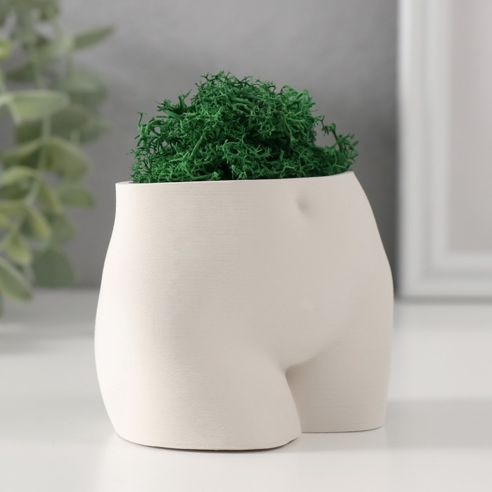 Сувенир  Сувенир "Невинный вид" со мхом высота 6,5см, ширина 8,5см белый (мох зелен. стабилиз)