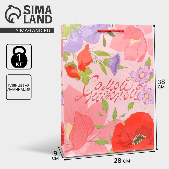 Пакет подарочный ламинированный, упаковка, «Нежность», L 28 х 38 х 9 см Пакет подарочный ламинированный, упаковка, «Нежность», L 28 х 38 х 9 см