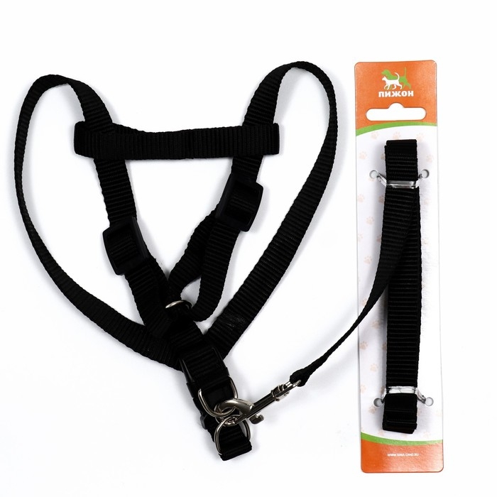 Комплект  Комплект "Базис", поводок 120 х 1,5 см, шлейка 32-46 х 1,5 см, чёрный