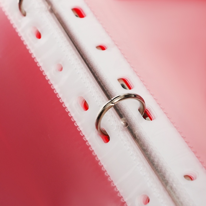 Папка-портфолио А4, Calligrata  Папка-портфолио А4, Calligrata "Герб", пластиковая, на 4 кольцах, для школьника, 20 файлов