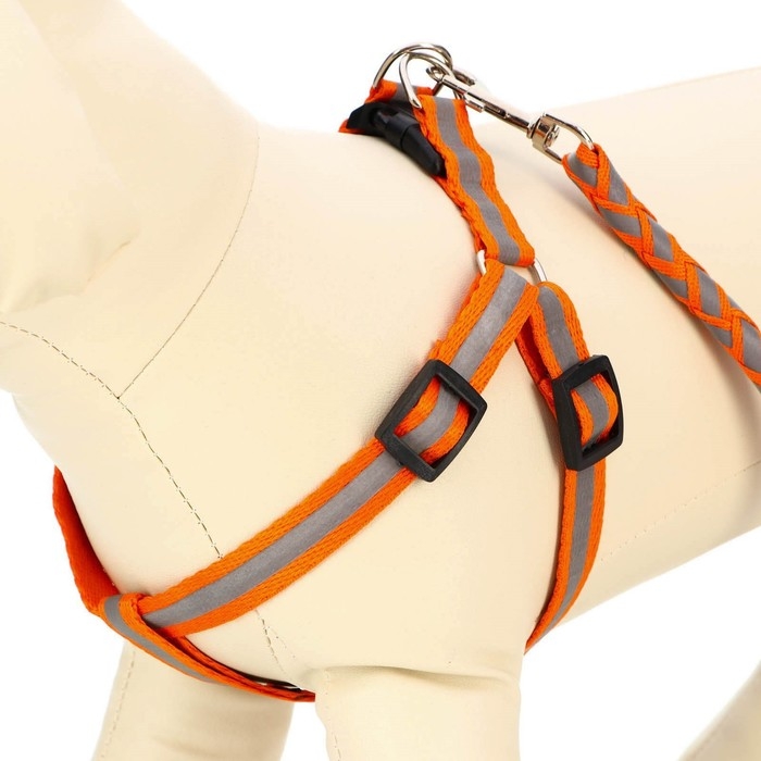 Комплект  Комплект "Плетенка", флуоресцентный, поводок 115 х 1 см, ОГ 32-48 х 1,5 см, оранжевый